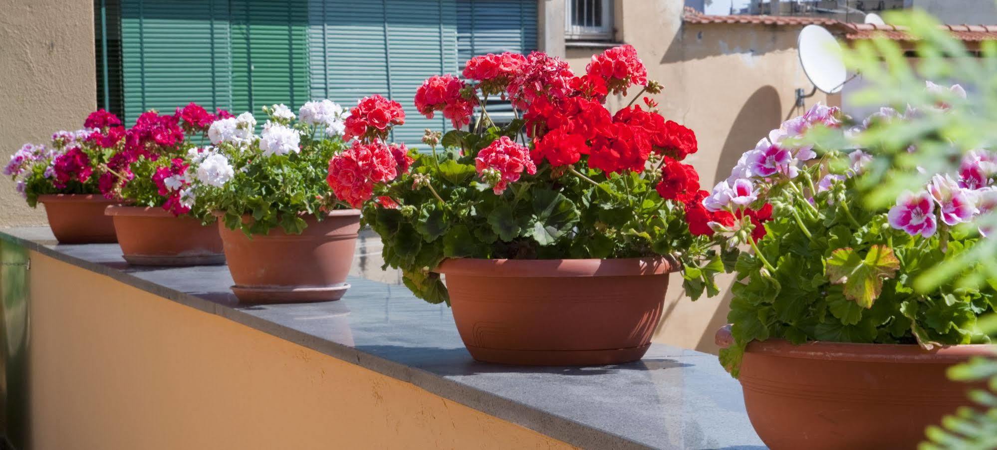 Tetto Fiorito Castellammare di Stabia Exterior foto